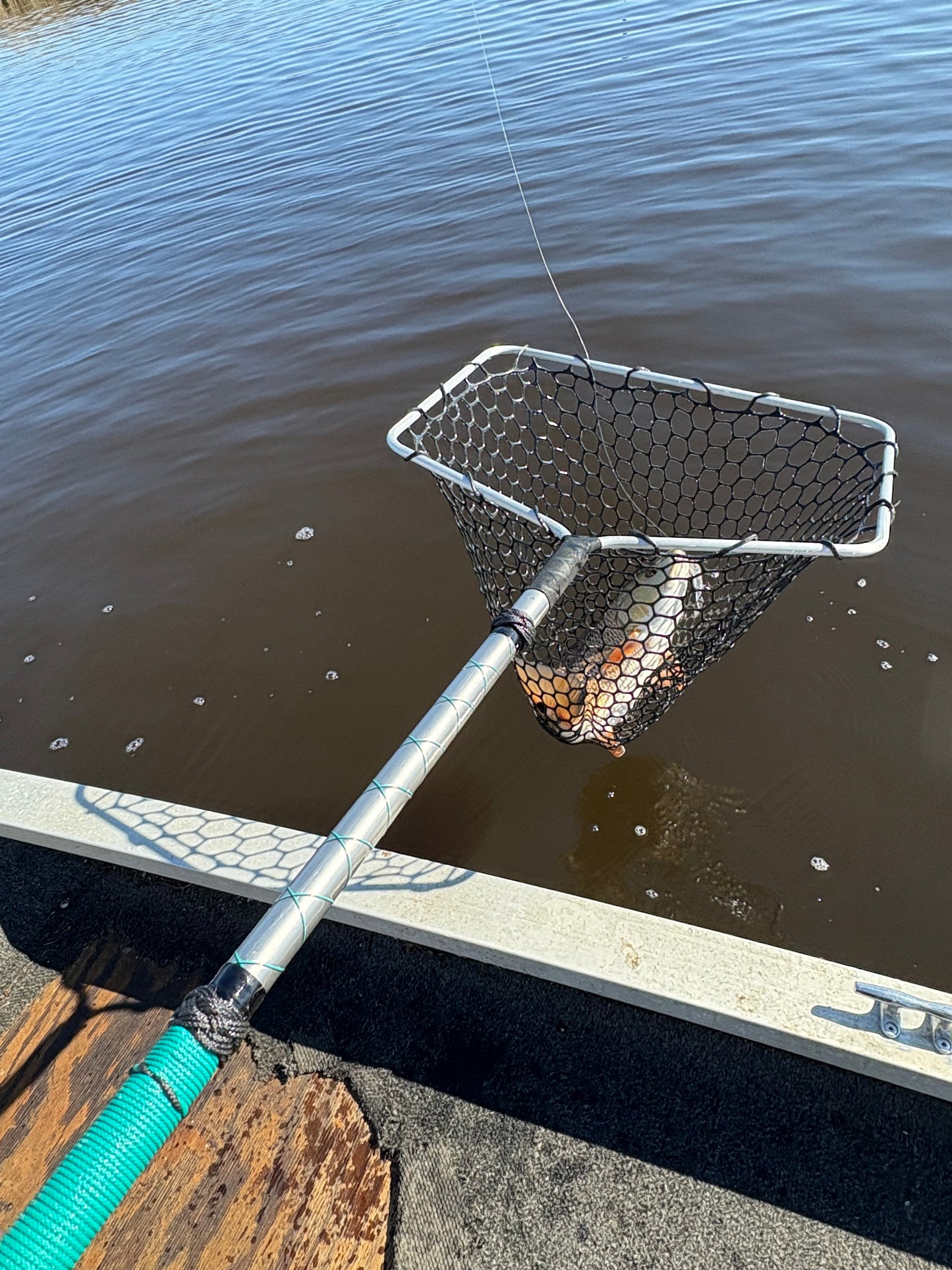 Net - Please Contact to Order